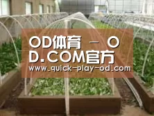 环境展示五