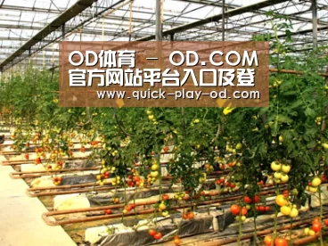种植基地二