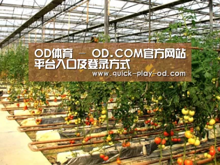 种植基地二(图1)